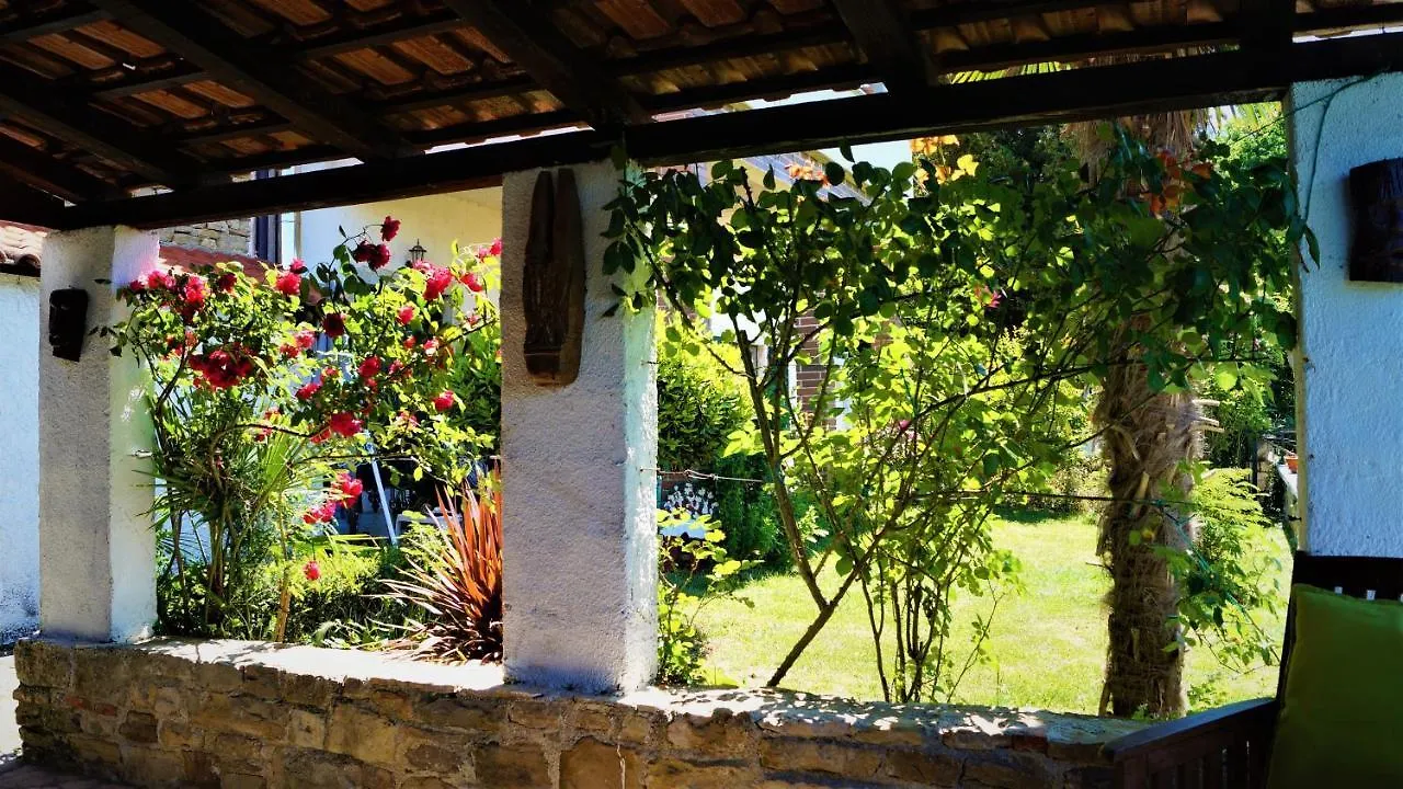 Apartments Garden Motovun